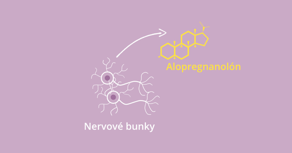 schema pokusov s neurony